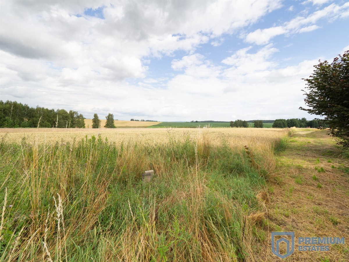 925 m² działka budowlana Trąbki, gmina Biskupice - Widok 2