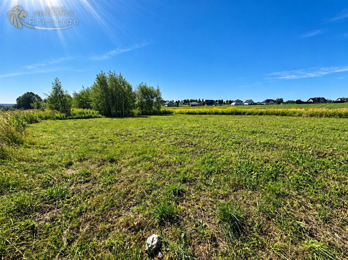 Działka budowlana - Zbrosławice - Widok 2