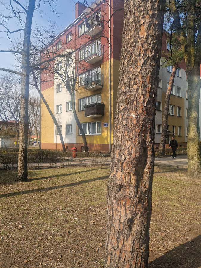 KUPUJĄCY NIE PŁACI PROWIZJI_DOBRA CENA - Więcej