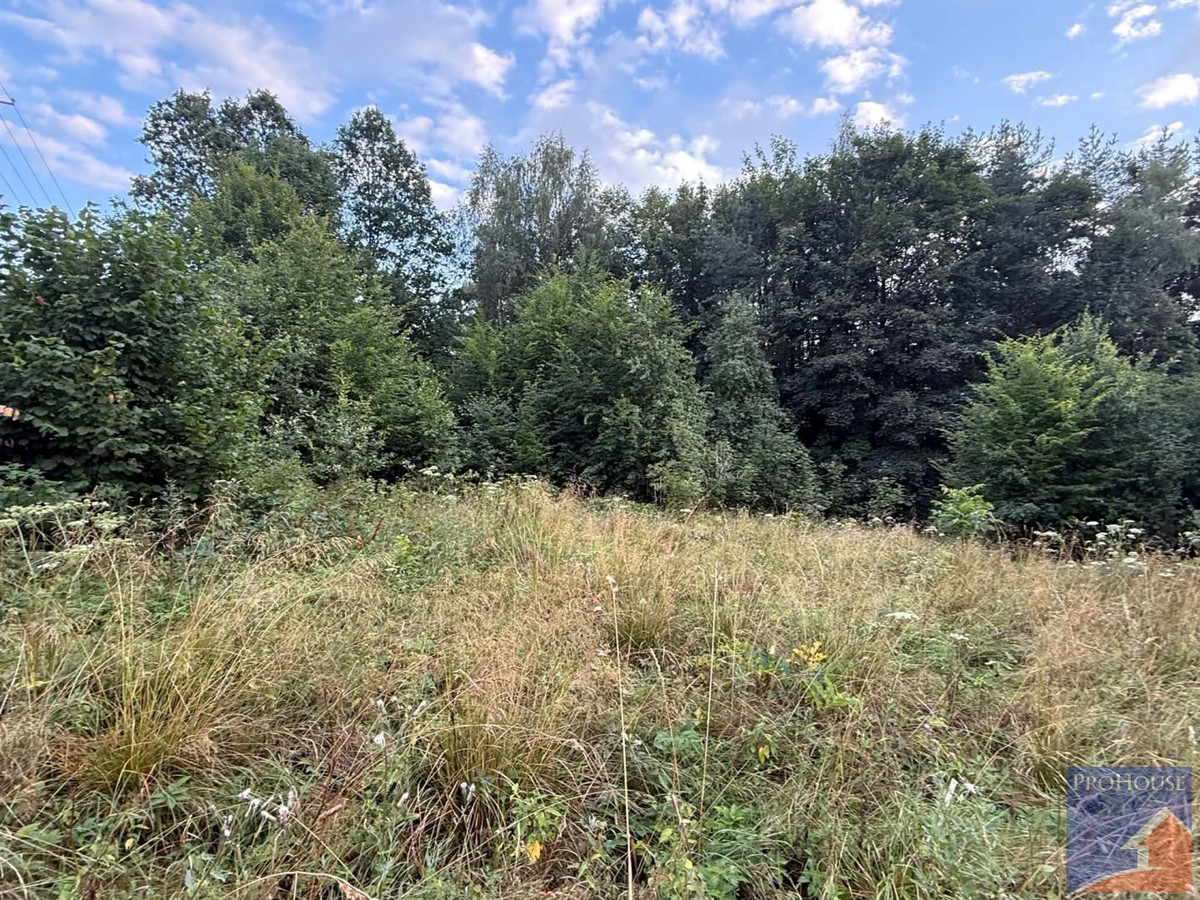 gratka-PROH-GS-709 - Więcej
