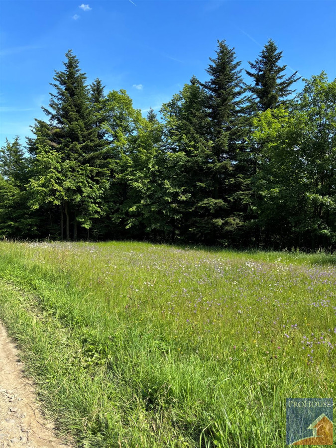 Działka 2094 m² blisko natury - Pisarzowa - Widok 5