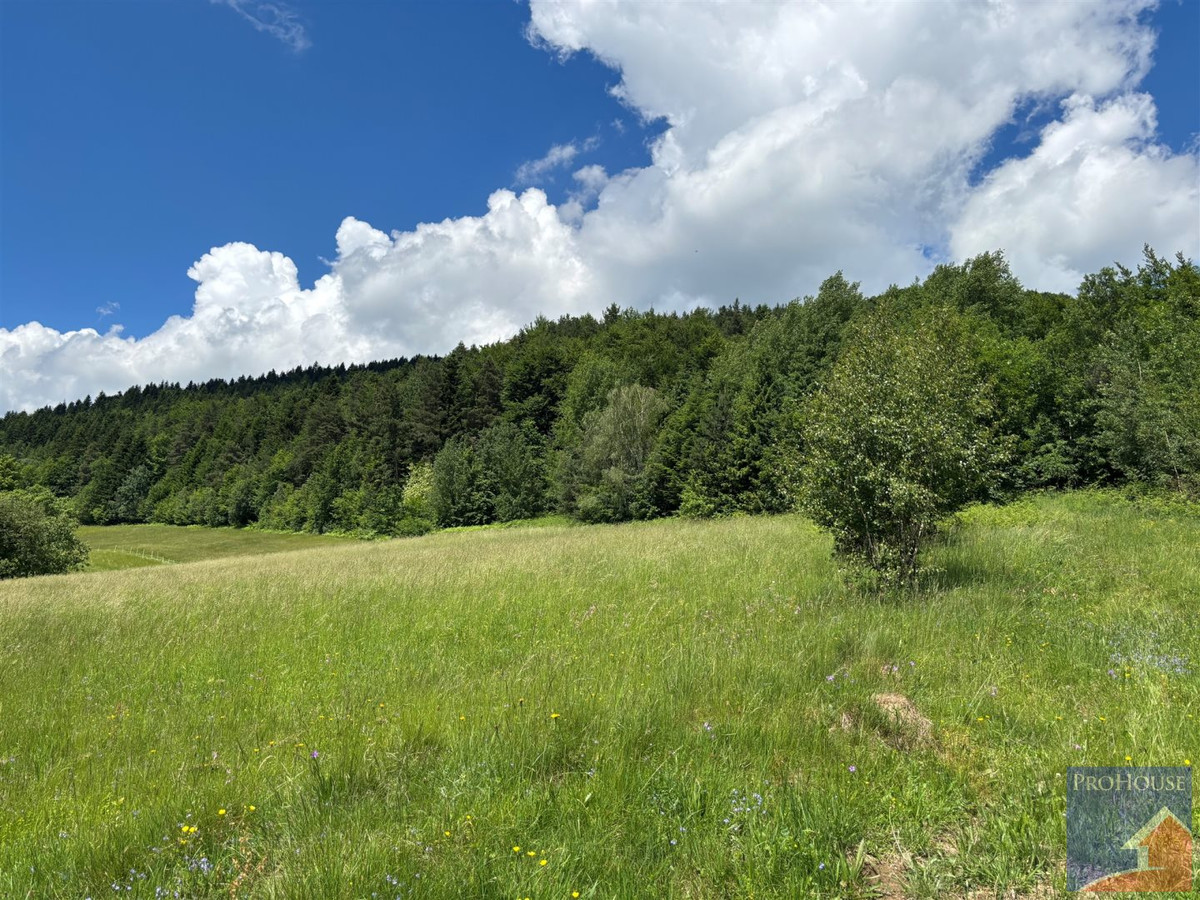 Piękna działka pod lasem - Więcej