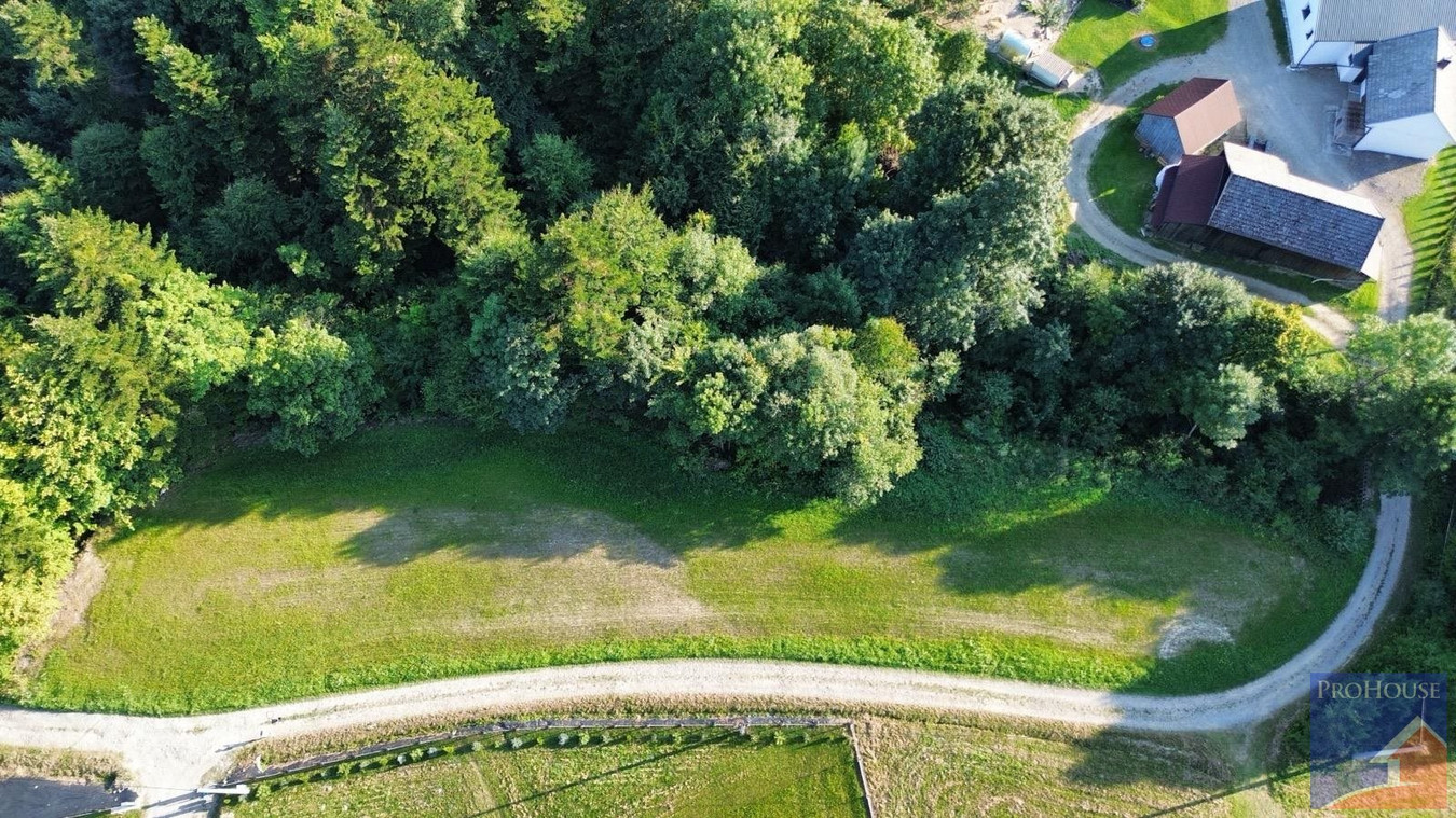 Działka 2094 m² blisko natury - Pisarzowa - Widok 2