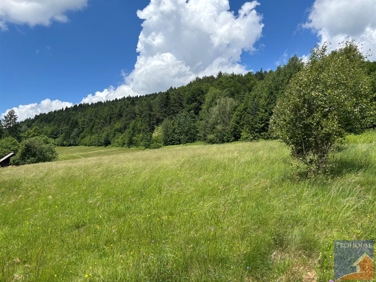 Piękna działka pod lasem - Widok 5