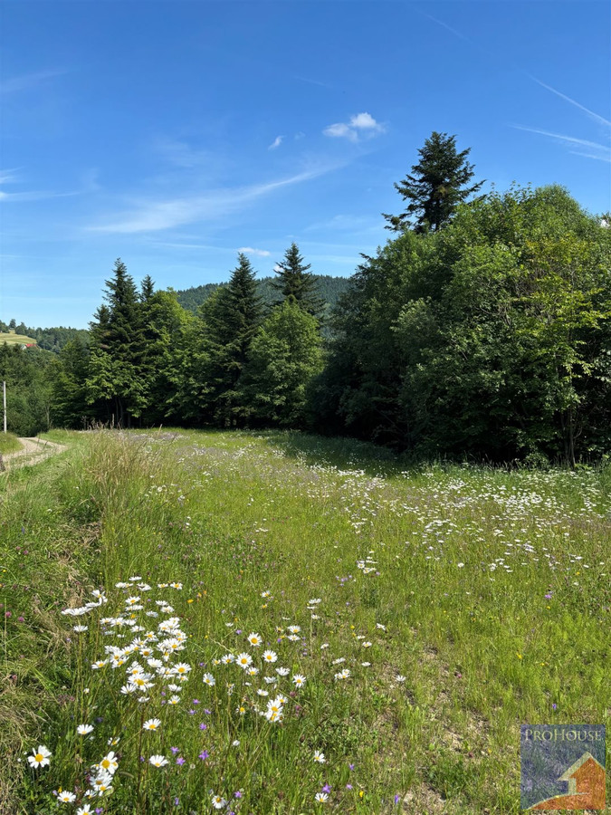 Działka 2094 m² blisko natury - Pisarzowa - Widok 4
