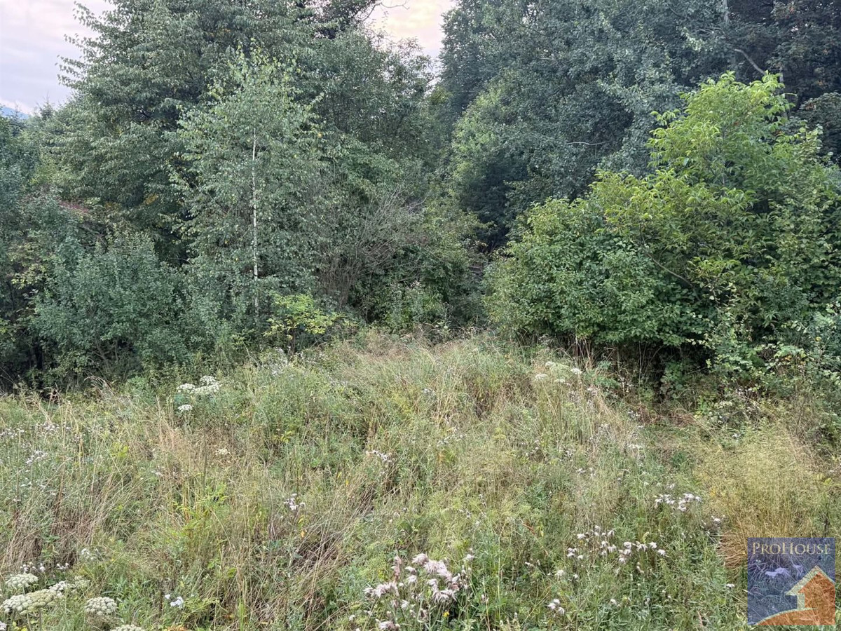 gratka-PROH-GS-709 - Widok 4