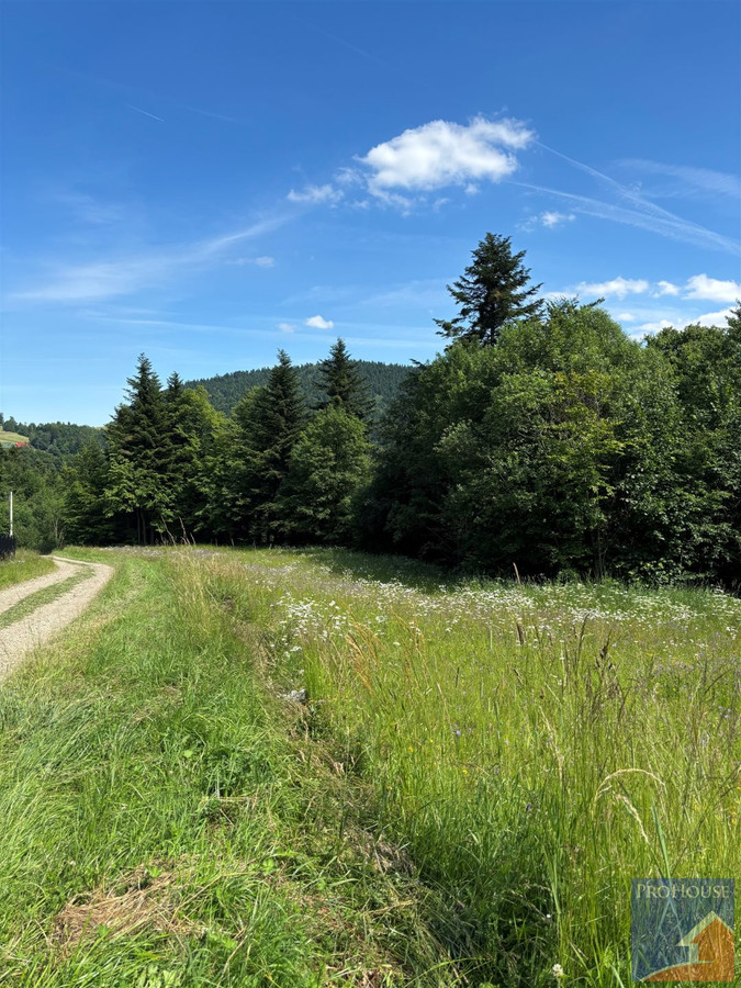 Działka 2094 m² blisko natury - Pisarzowa - Widok 3