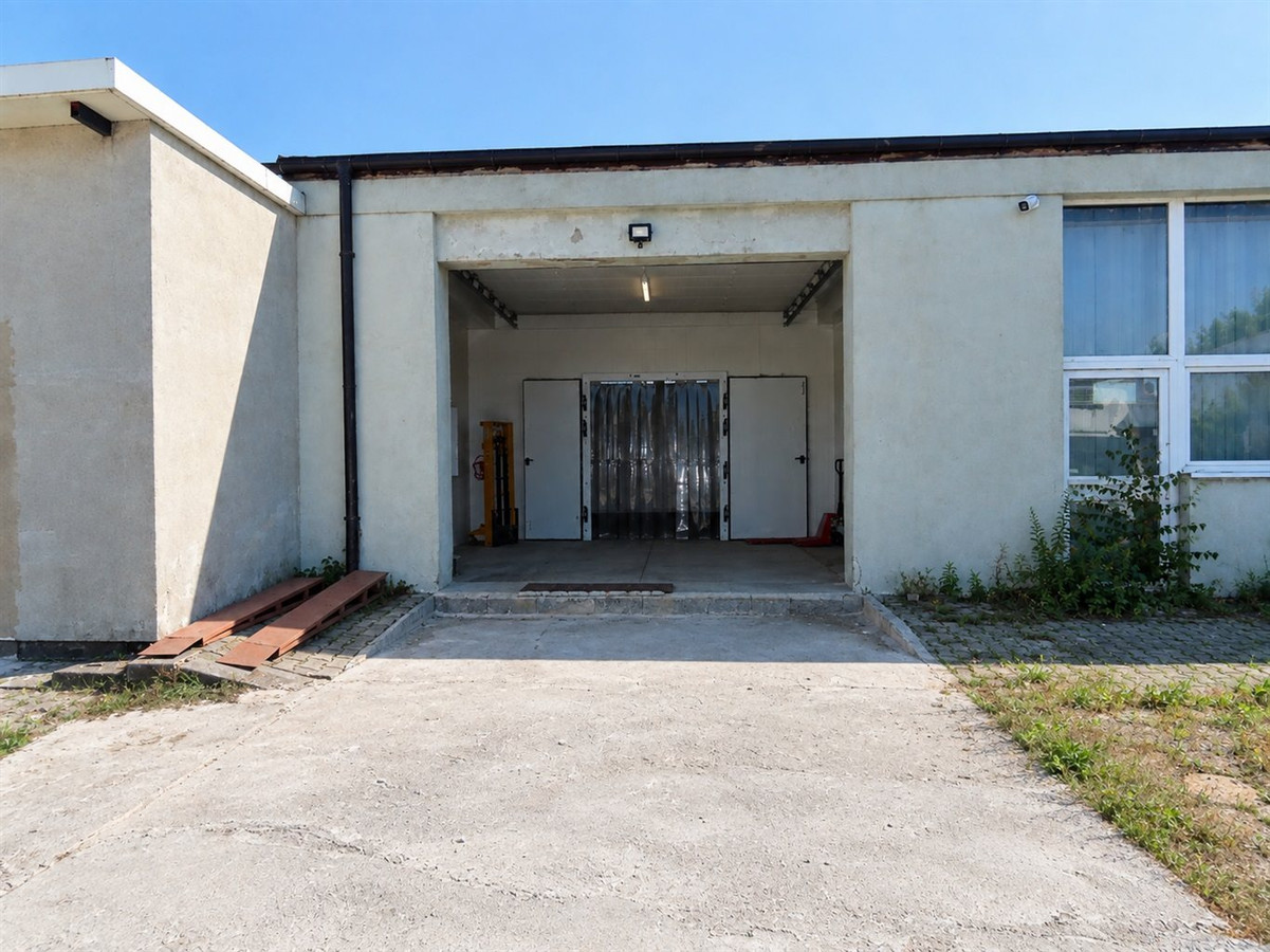 Hala przygotowana jako chłodnia - Widok 5