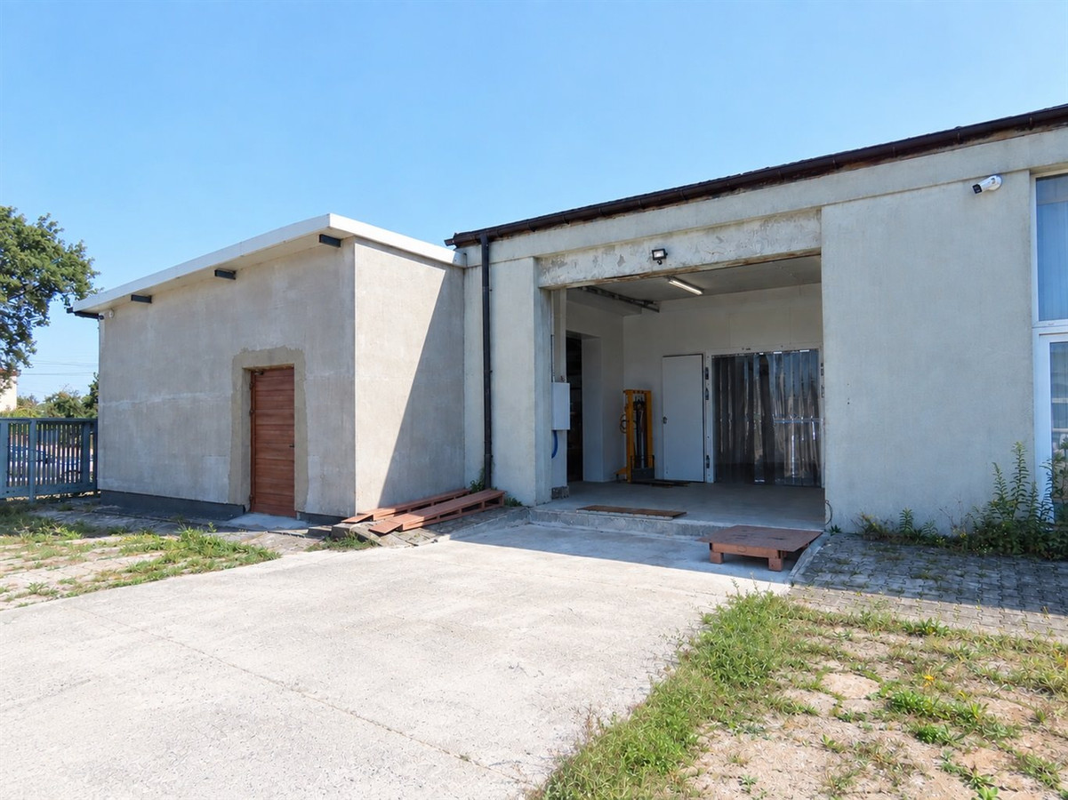 Hala przygotowana jako chłodnia - Widok 4