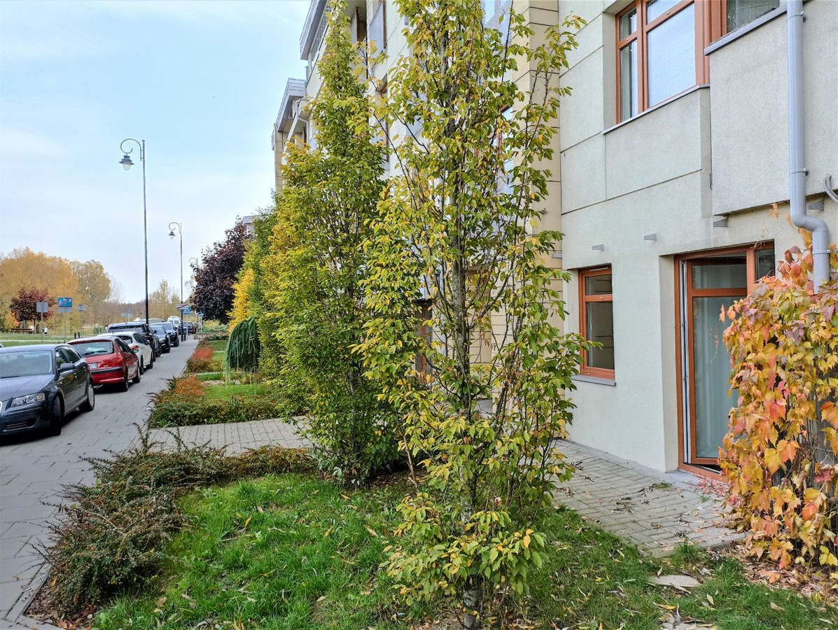 Lokal / mieszkanie: dwa wejścia, parter, taras