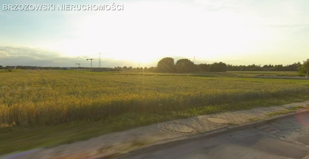 Lesznowola, działka 10 400 m², przemysłowa - Widok 5
