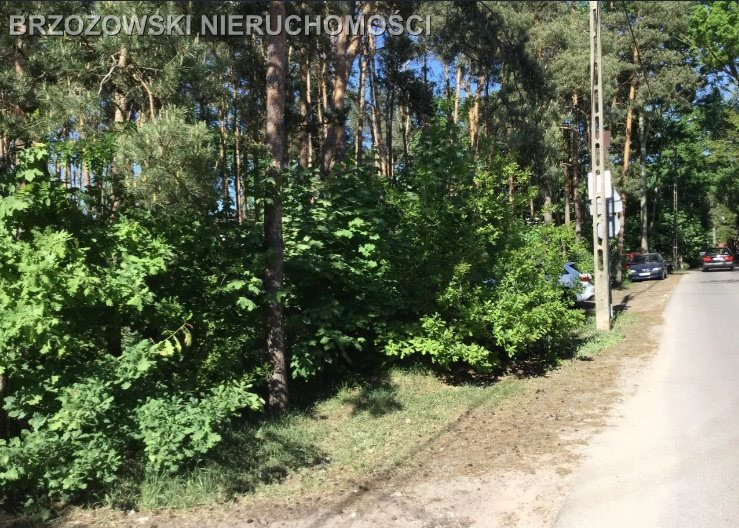 Wawer, Międzylesie, 2000 m², MPZP, mieszkaniowa - Widok 2