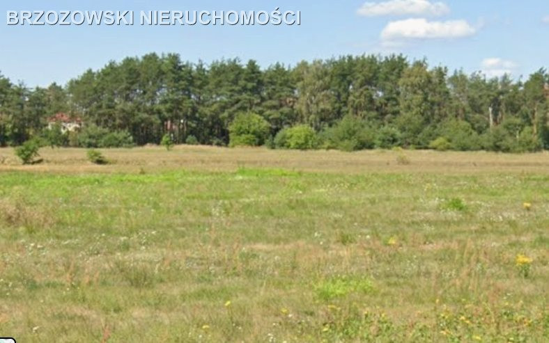 Pruszków, 2 ha, MPZP jednorodzinna bliźniacza - Widok 4