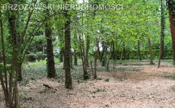 Brwinów, 2313 m², mieszkaniowa jednorodzinna - Widok 2