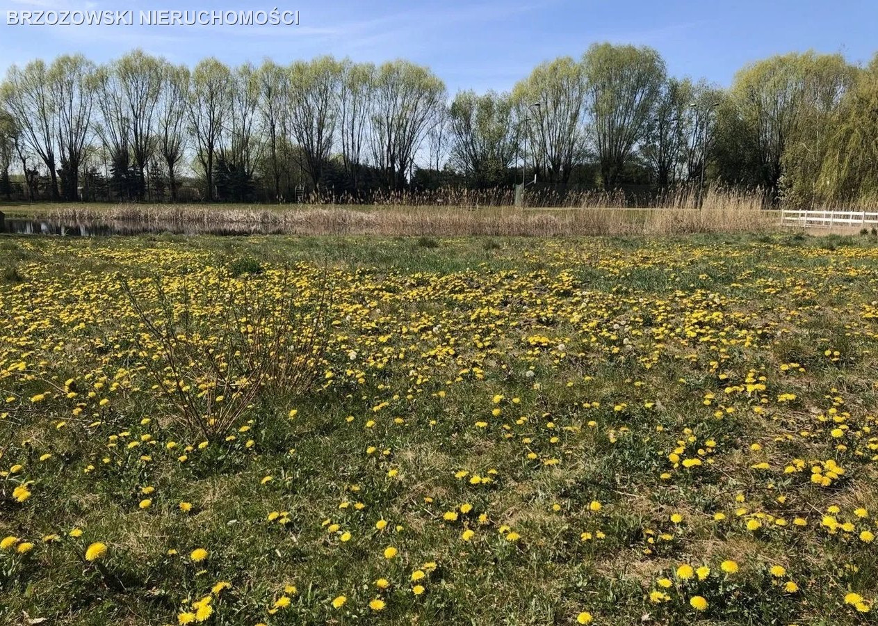 Wilanów, Powsinek, 2900 m², MPZP - Widok 3