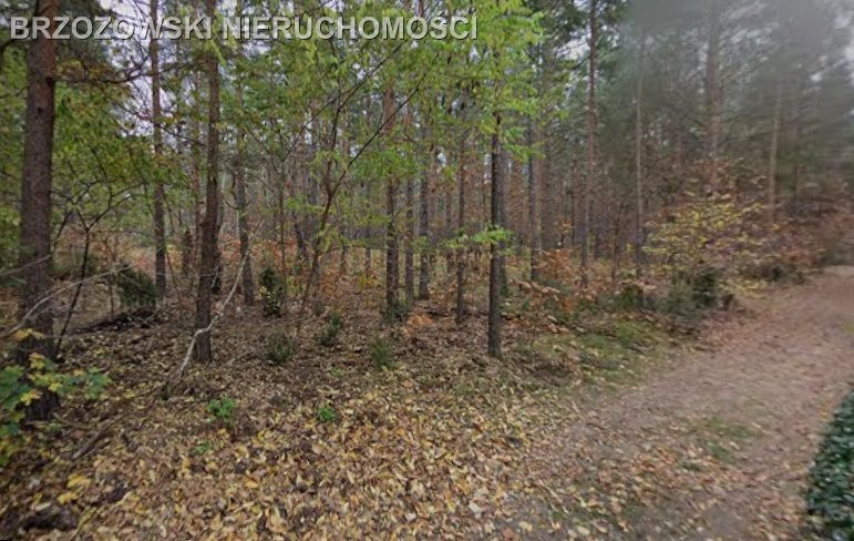 Radość, rejon Izbickej, WZ jednorodzinna - Widok 4