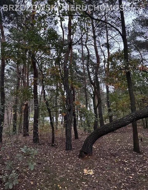Marki, 2597 m², MPZP, mieszkaniowa wolnostojąca - Więcej