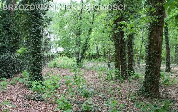 Brwinów, 2313 m², mieszkaniowa jednorodzinna - Widok 5