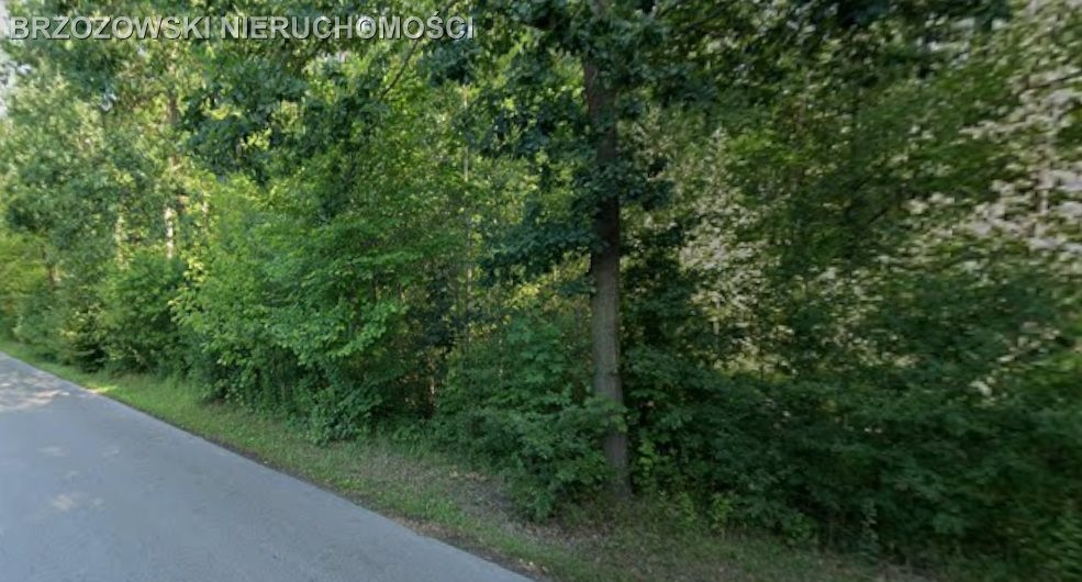 Ursynów, Dąbrówka, 1,05 ha, WZ inwestycyjna - Widok 3