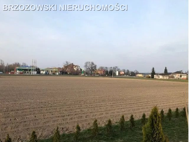 Błonie, 13554 m², MPZP usługowa mieszkaniowa - Widok 2