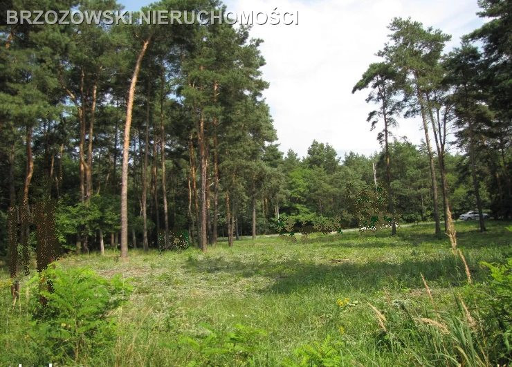 Józefów, 2400 m², MPZP, usługowa - Widok 2