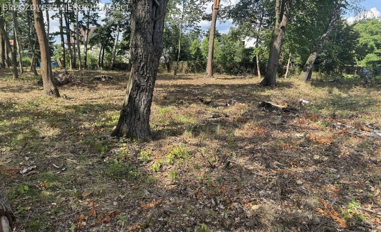 Zalesie Dolne, 1730 m², MPZP, wolnostojąca - Widok 3
