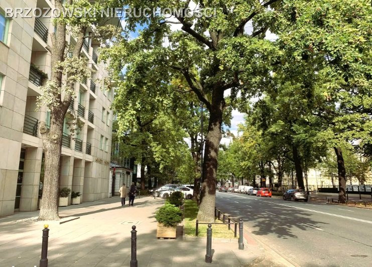 Śródmieście, 208 m², usługowy, biurowy, wynajęty - Widok 3