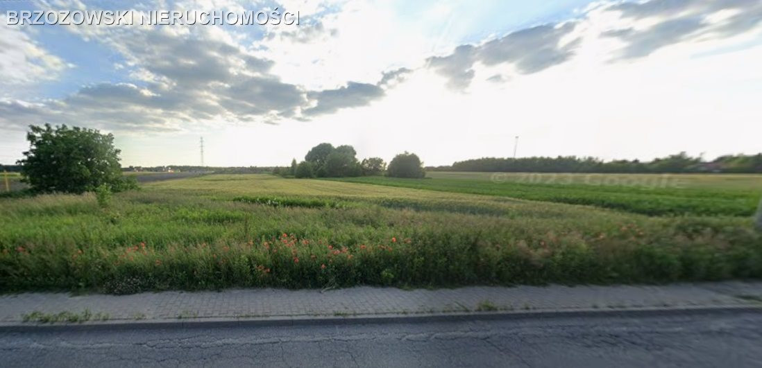Lesznowola, działka 10 400 m², przemysłowa - Widok 3