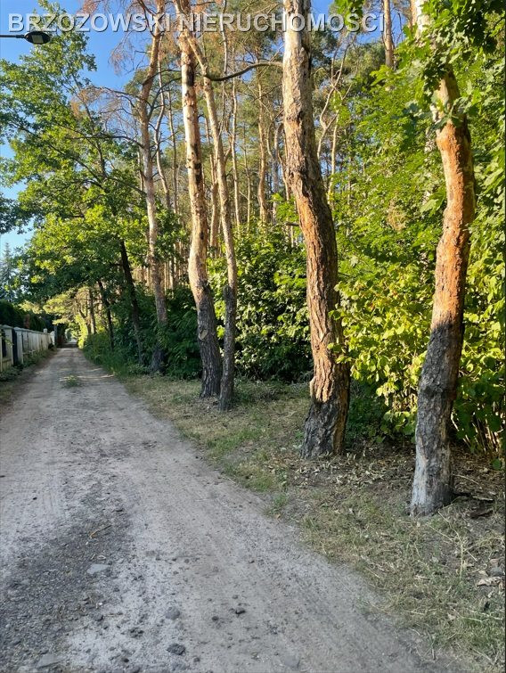 Wawer, Międzylesie, 2000 m², MPZP, mieszkaniowa - Widok 3