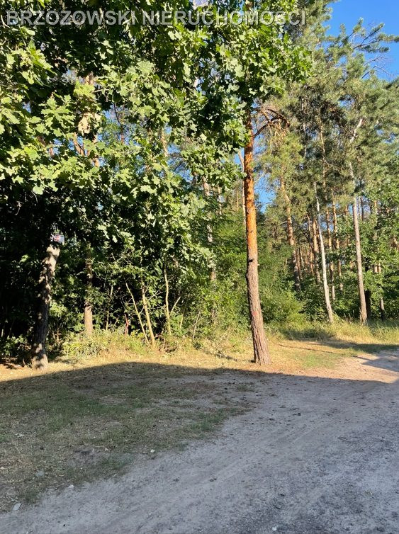 Wawer, Międzylesie, 2000 m², MPZP, mieszkaniowa - Widok 4