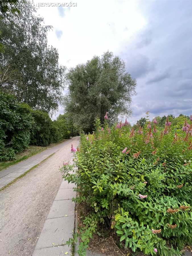 Wilanów, Vogla, MPZP, mieszkaniowa, usługi - Widok 3