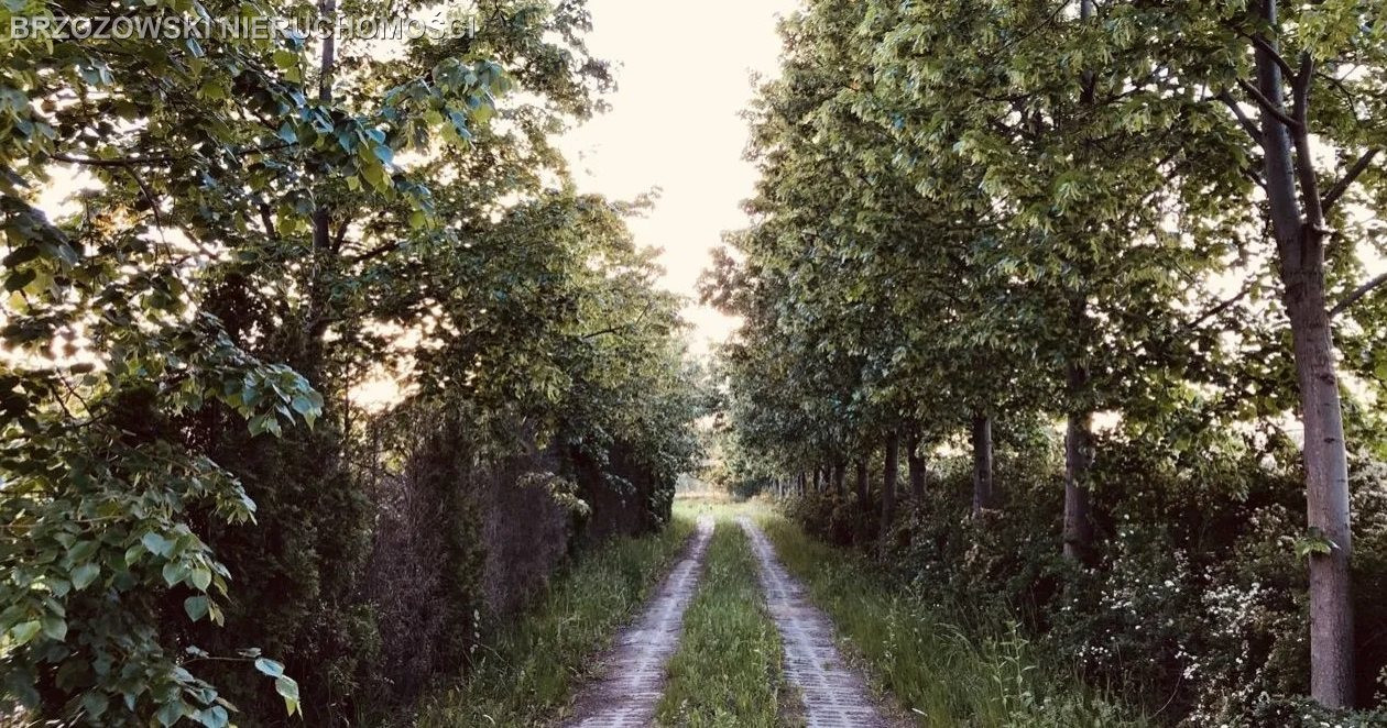 Wilanów, Powsinek, 2900 m², MPZP - Widok 4