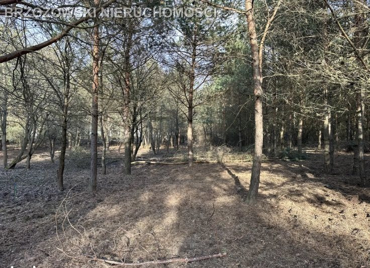 Jabłonna, Trzciany, 1610 m², MPZP mieszkaniowa - Widok 5