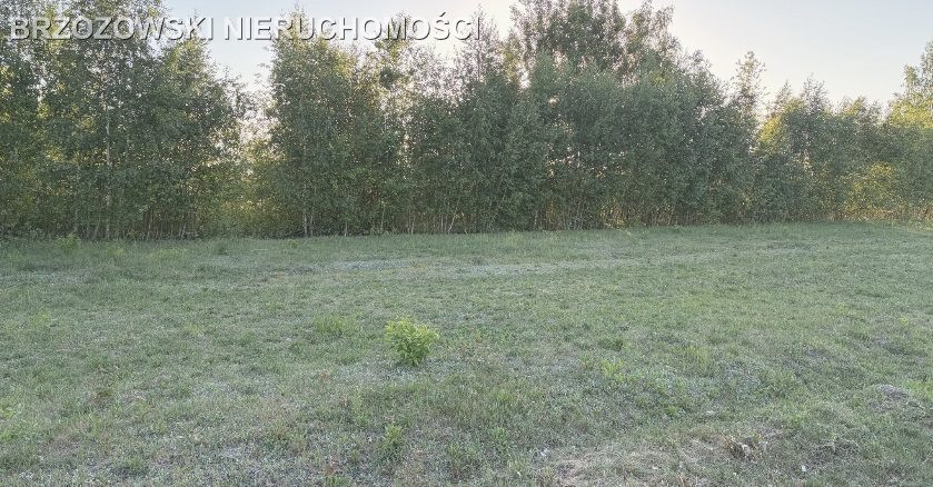 Rusiec, 1000 m², MPZP mieszkaniowa - Widok 4
