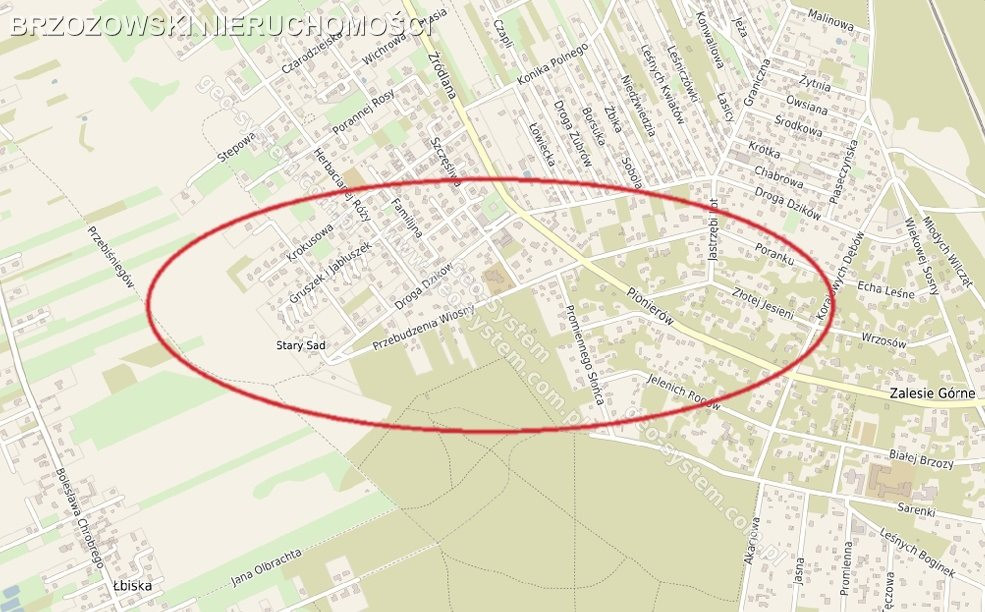 Zalesie Górne, 3880 m2, MPZP,mieszkaniowa usługowa