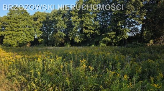 Białołęka, 2920 m², WZ mieszkaniowa dwulokalowy - Widok 4