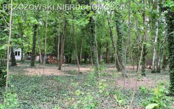 Brwinów, 2313 m², mieszkaniowa jednorodzinna - Widok 4