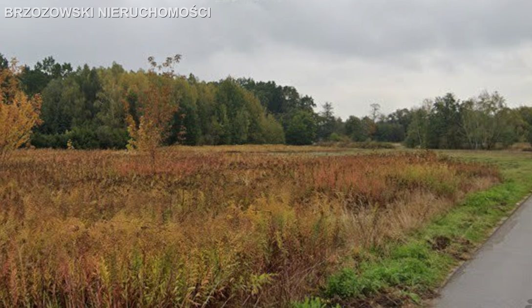 Strzeniówka, 2430 m², MPZP, wolnostojąca - Widok 2
