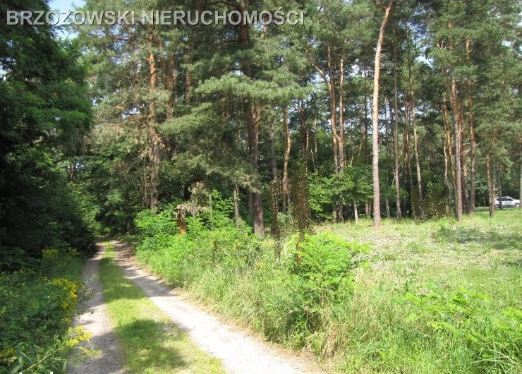 Józefów, 2400 m², MPZP, usługowa - Widok 3