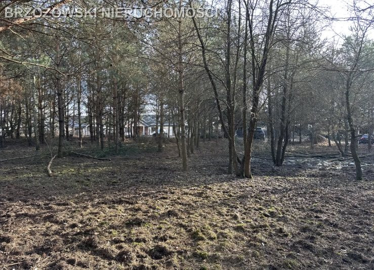 Jabłonna, Trzciany, 1610 m², MPZP mieszkaniowa - Widok 3