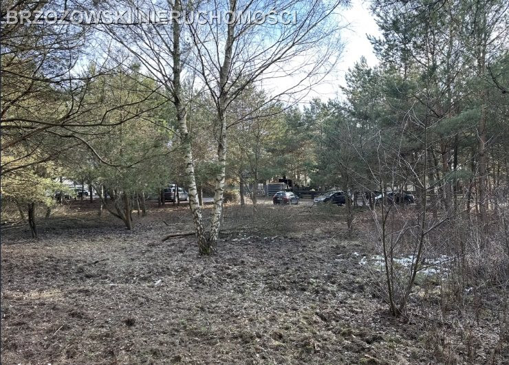 Jabłonna, Trzciany, 1610 m², MPZP mieszkaniowa - Widok 4