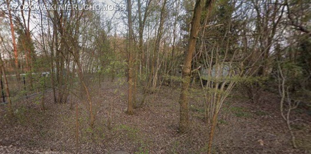 Robercin, 1900 m² - Widok 2