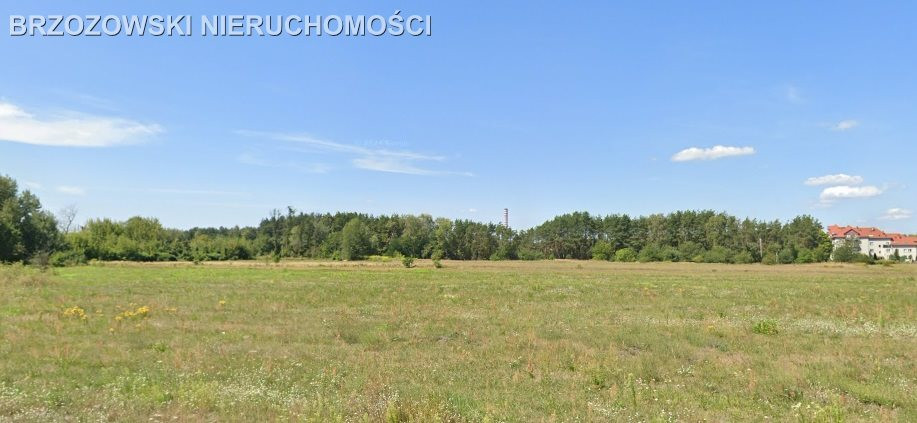 Pruszków, 2 ha, MPZP jednorodzinna bliźniacza - Widok 2