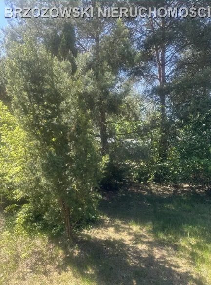 Zalesie Górne, 1860 m², MPZP, dwulokalowy - Widok 3