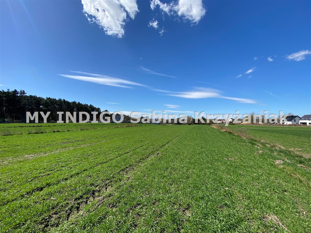 gratka-RGS-GS-138 - Widok 2