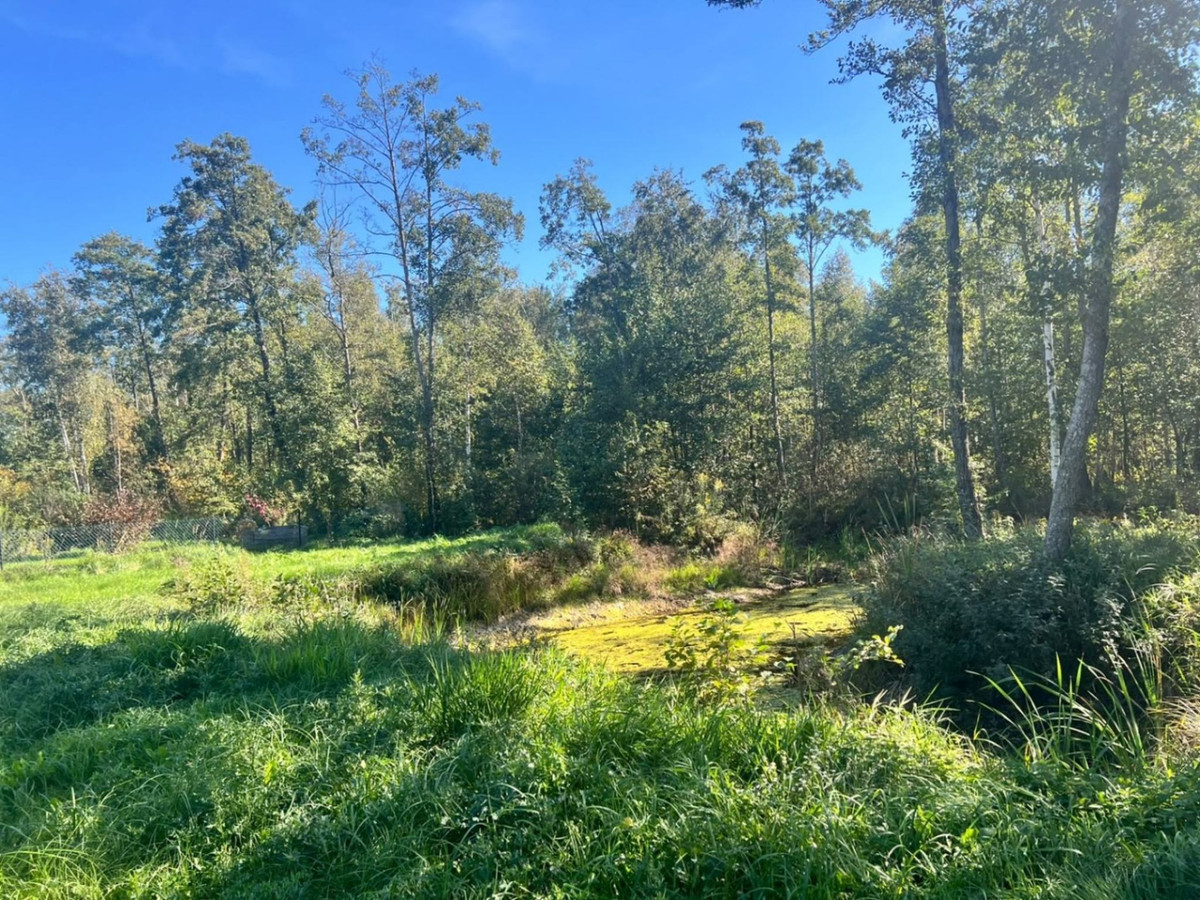 *Działka letniskowa*WZ*Grabniak*Urszulin*3002 m²* - Widok 4
