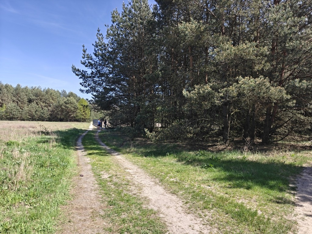 Michałów - urokliwa działka budowlana 5500 m² - Widok 3