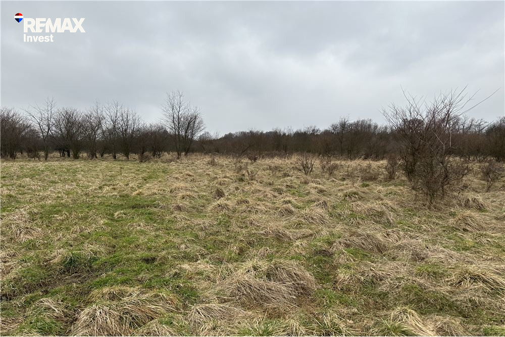 Sklypas, 1082 m²