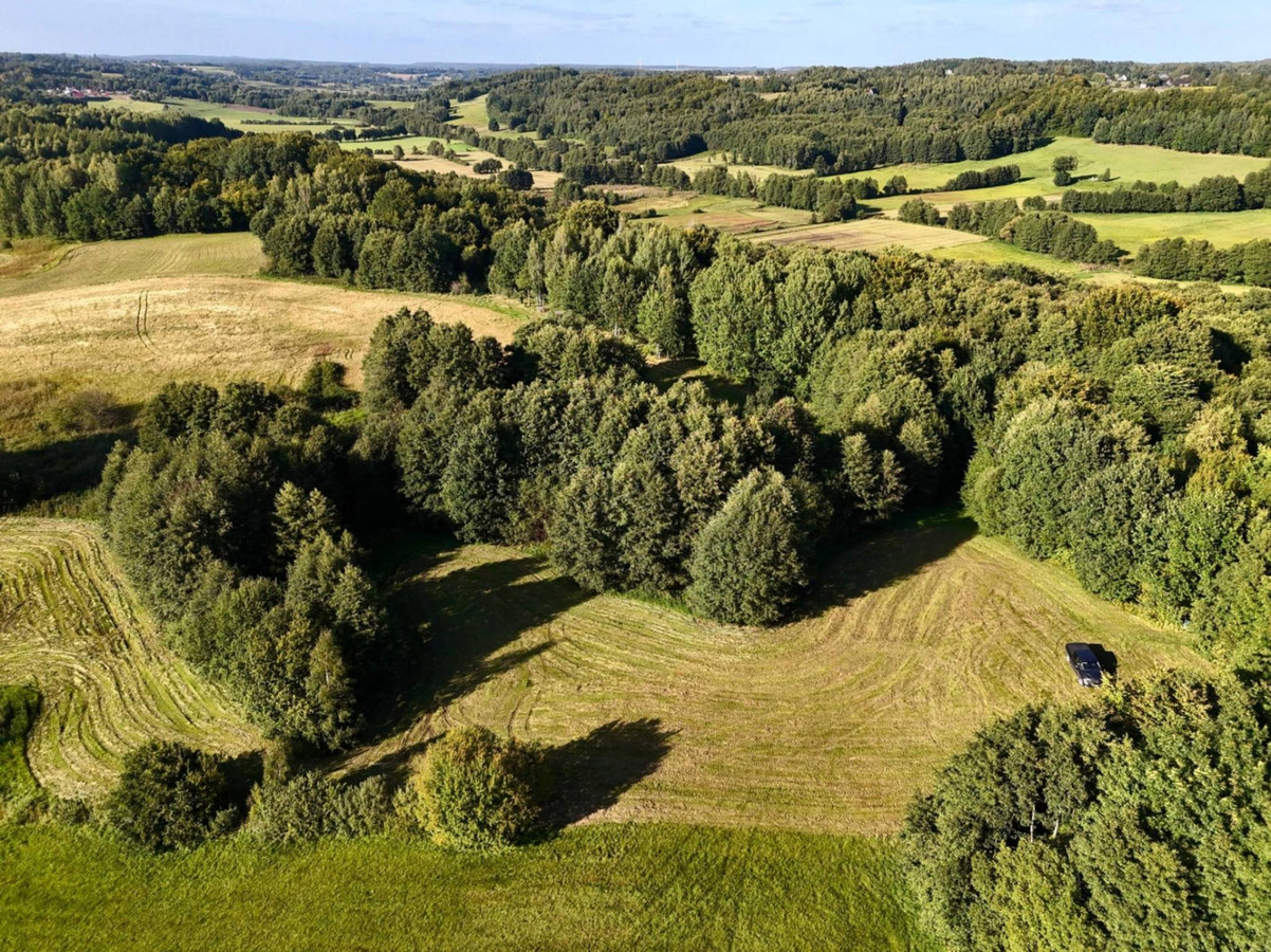 Wyjątkowa działka-Kaszuby, Strysza Buda - Widok 2