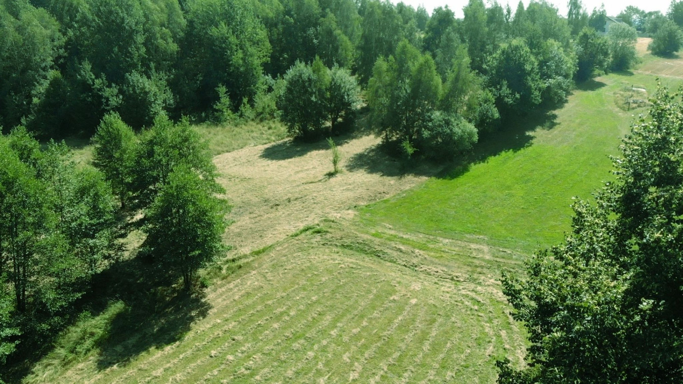 Działka rolna z dopuszczeniem zabudowy zagrodowej | 2393 m² - Widok 3